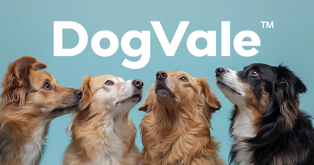 DogVale.com logo