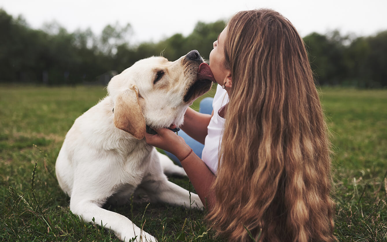 What does it mean when my dog licks me?