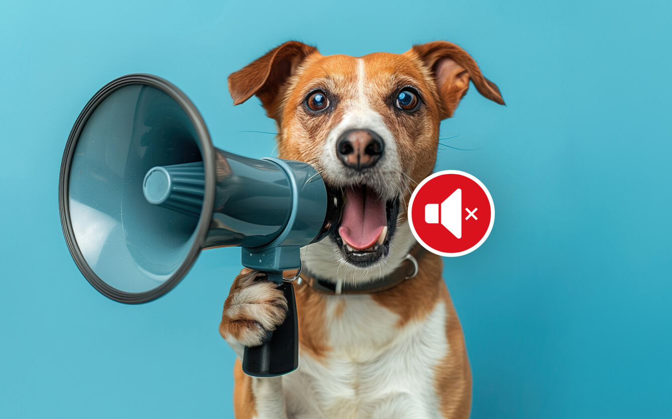 How to get your dog to stop barking